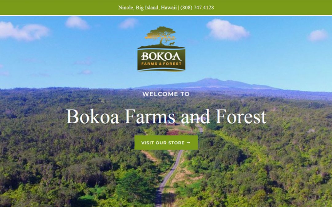 Bokoa Farms